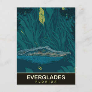 Alligator in den Everglades, Florida, Reise Postkarte