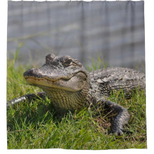 ALLIGATOR in der DUSCHE Duschvorhang