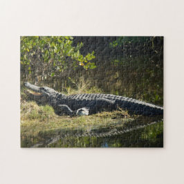 Alligator in der Sun Florida Puzzle