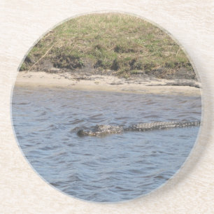 Alligator in der Wassersumpf Reptile Florida Sandstein Untersetzer