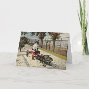 Alligator-Kart-Karte Karte