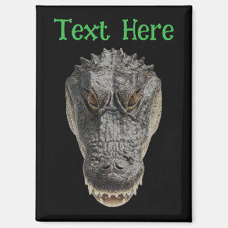 Alligator Kopf Magnet