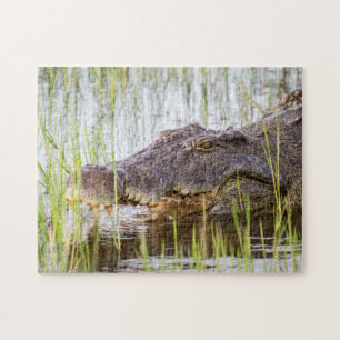 Alligator Krokodile Wildlife Africa Puzzle