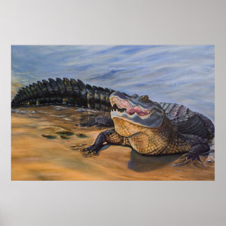 Alligator-Kunst. Von Angesicht zu Angesicht Poster
