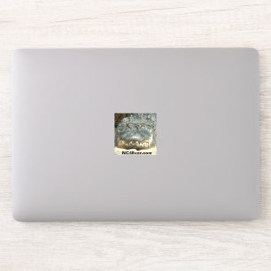 Alligator Laptop Sticker von NC4Ever.com