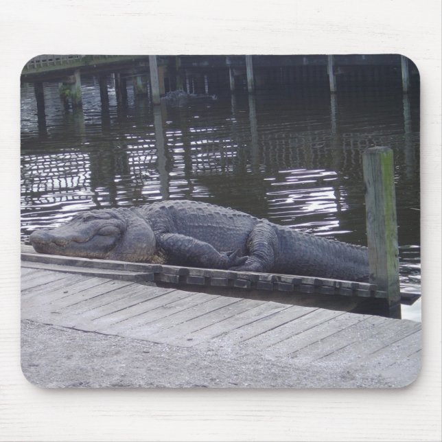 Alligator-Mauspad Mousepad (Vorne)