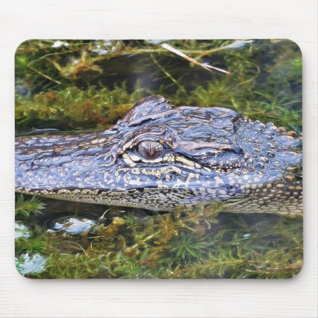 Alligator Mousepad (Vorne)