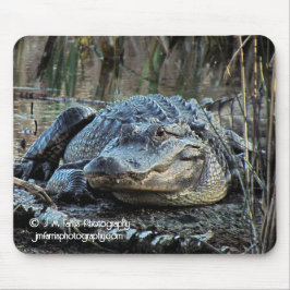 Alligator Mousepad