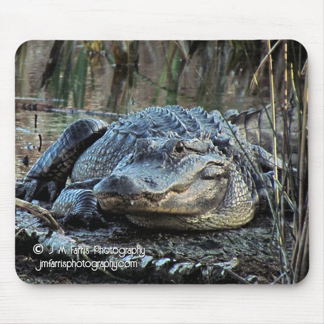 Alligator Mousepad (Vorne)