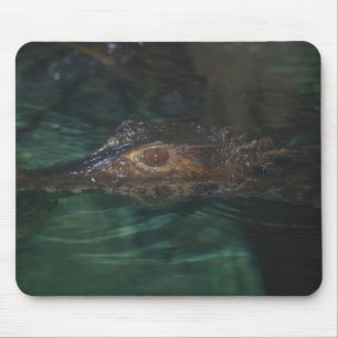 Alligator Mousepad