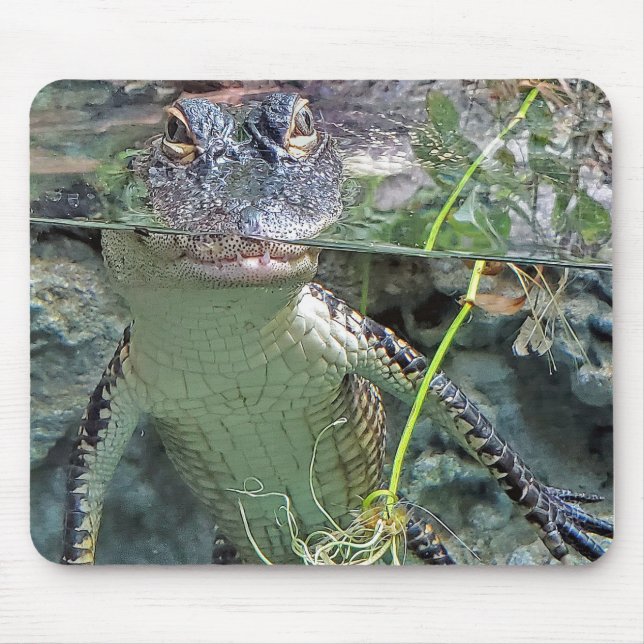 Alligator Mousepad (Vorne)