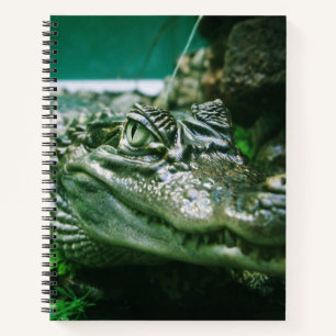 Alligator Notizbuch