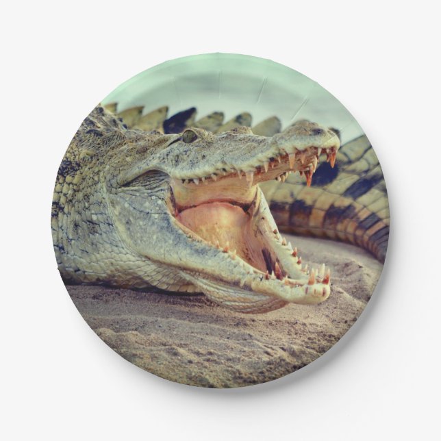 Alligator Pappteller (Vorderseite)