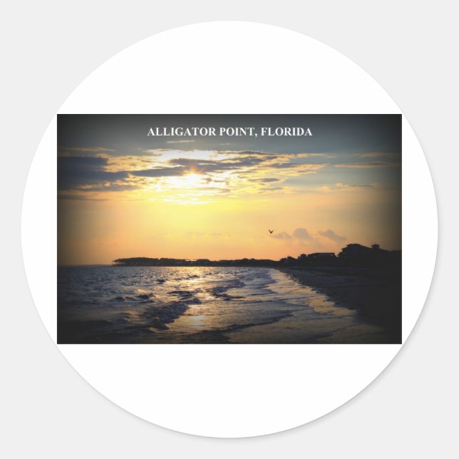 ALLIGATOR POINT FLORIDA RUNDER AUFKLEBER (Vorderseite)