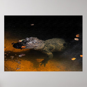 Alligator Poster