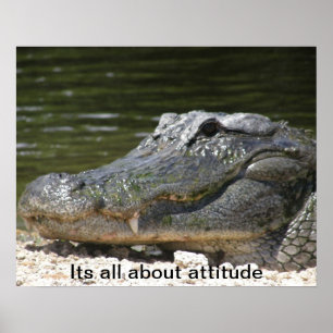 ALLIGATOR POSTER