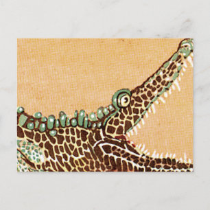 Alligator Postkarte