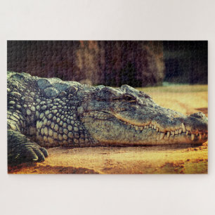 Alligator Puzzle
