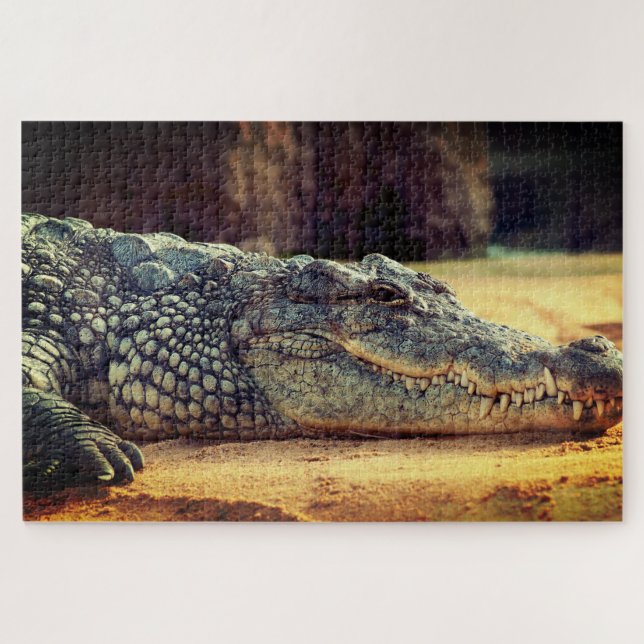 Alligator Puzzle (Horizontal)