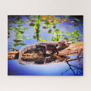 Alligator Puzzle