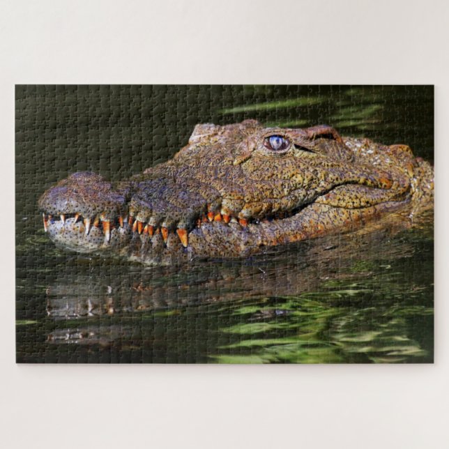 Alligator Puzzle (Horizontal)