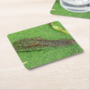 Alligator Rechteckiger Pappuntersetzer