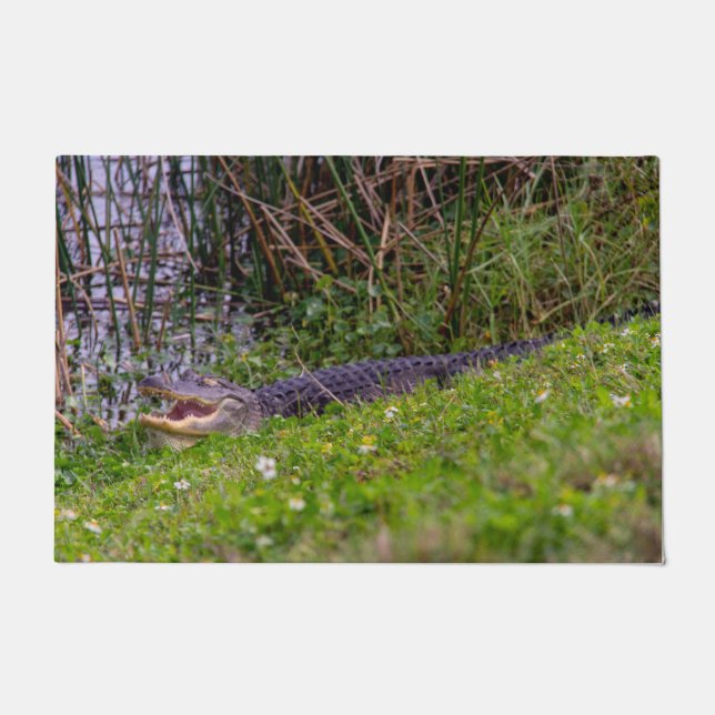 Alligator Relaxen im Viera-Feuchtgebiet Fußmatte (Vorderseite)