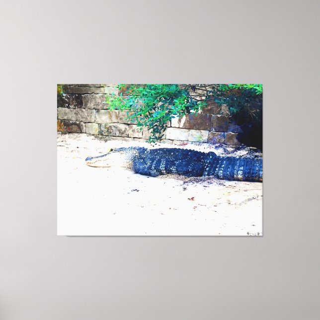 Alligator ruht an einer Steinmauer Leinwanddruck (Vorderseite)