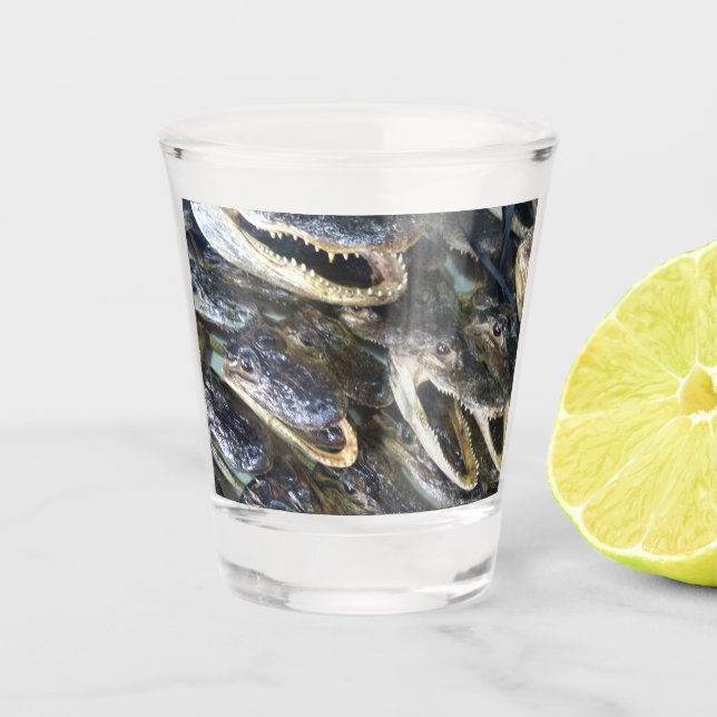 Alligator Schnapsglas (Vorderseite)