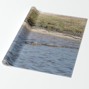 Alligator Schwimmen Wasserreptilien Florida Geschenkpapier