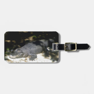 Alligator Sonnenbaden Gepäckanhänger