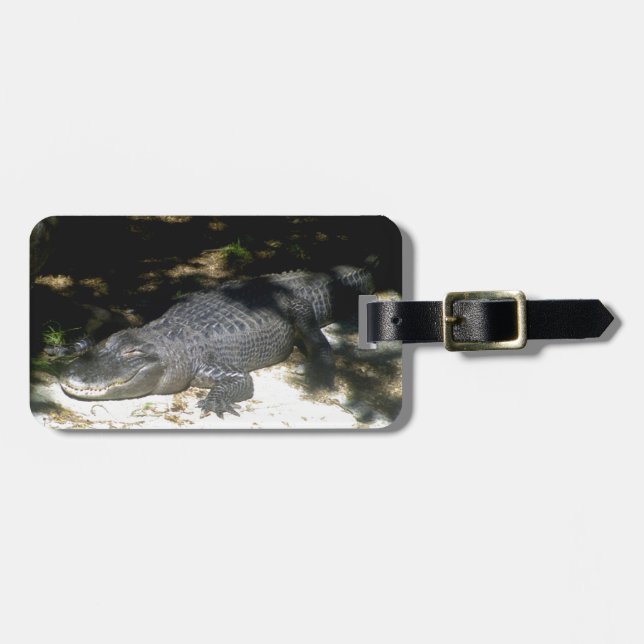Alligator Sonnenbaden Gepäckanhänger (Vorderseite horizontal)