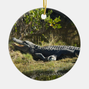 Alligator sonnt sich auf Sumpfbank Keramik Ornament