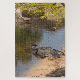 Alligator und Carrao-Vogel in Florida-Feuchtgebiet Puzzle