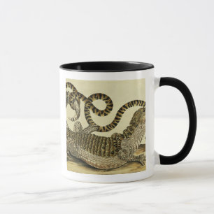 Alligator und Schlange, 1730 (farbiger Stich) Tasse