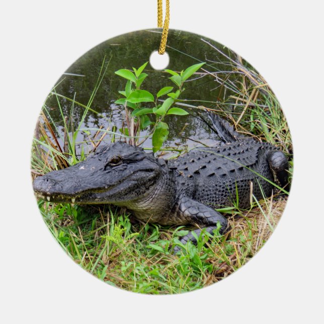 Alligator und Verzierung des rosa Spoonbill Keramik Ornament (Vorne)