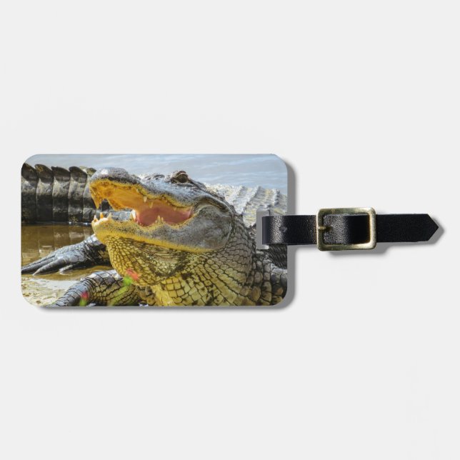 Alligator. Vertraulich Gepäckanhänger (Vorderseite horizontal)