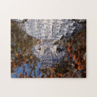 Alligator - Vorsicht! Puzzle