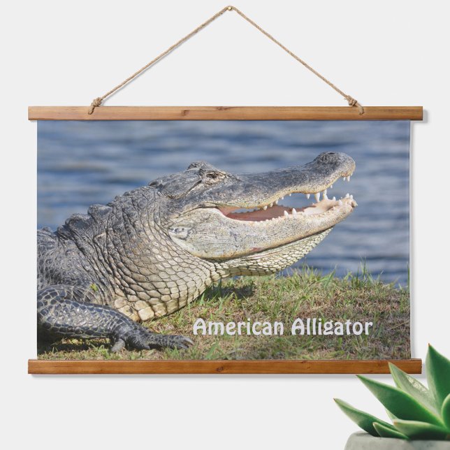 Alligator Wildlife Nature Closeup Fotografie Wandteppich Mit Holzrahmen (Von Creator hochgeladen)