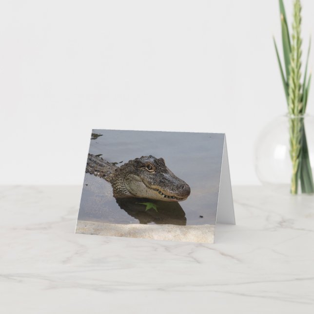 Alligatoranmerkungs-Karte Karte (Vorderseite)