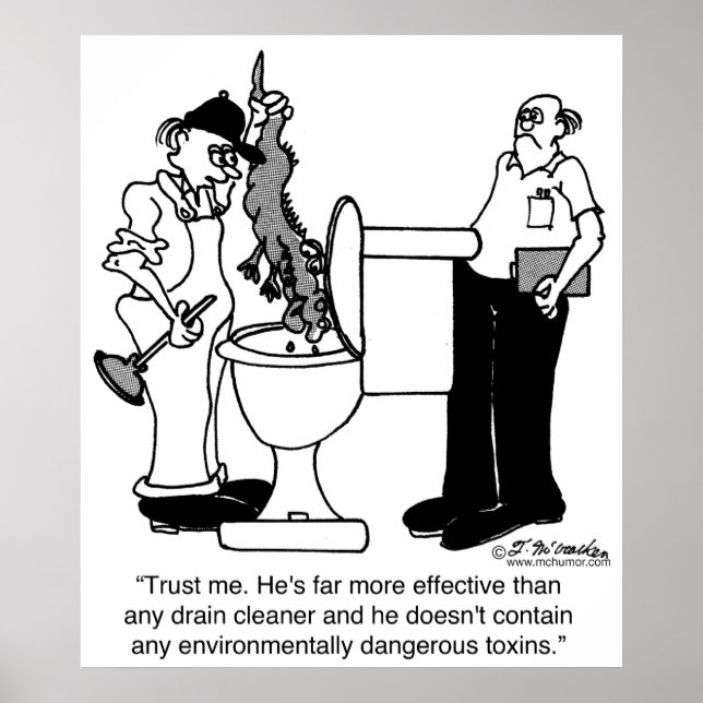 Alligatoren als Entwässerungsreiniger Poster (Vorne)