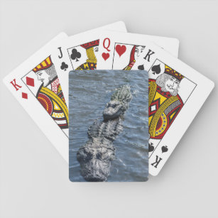 Alligatoren, die im seichten Wasser stillstehen Spielkarten