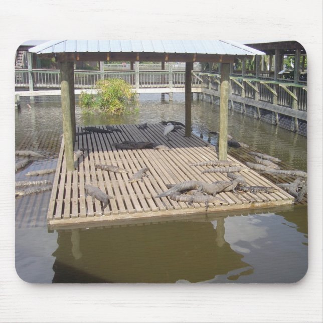 Alligatoren, die in der Maus sitzen Mousepad (Vorne)