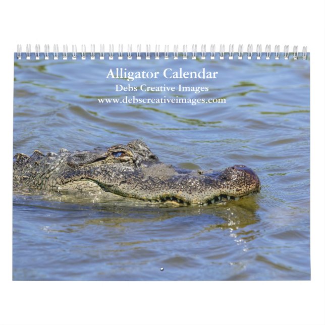 Alligatoren im Wilden 2026 Kalender (Titelbild)