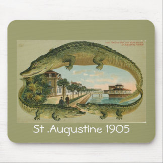 Alligatorgrenze St Augustine Florida 1905, St.… Mousepad