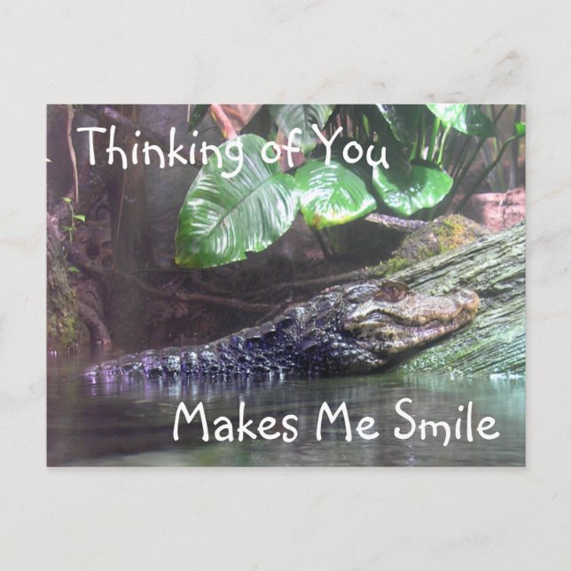 'Alligatorgrinsen: Denken an Sie - Postkarte (Vorderseite)