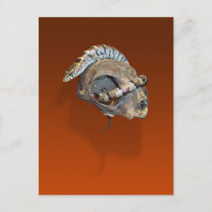 Alligatorin Lizard auf einer Cat Skull Postcard Postkarte