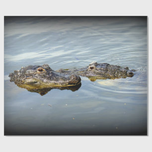 AlligatorLiebe Geschenkpapier