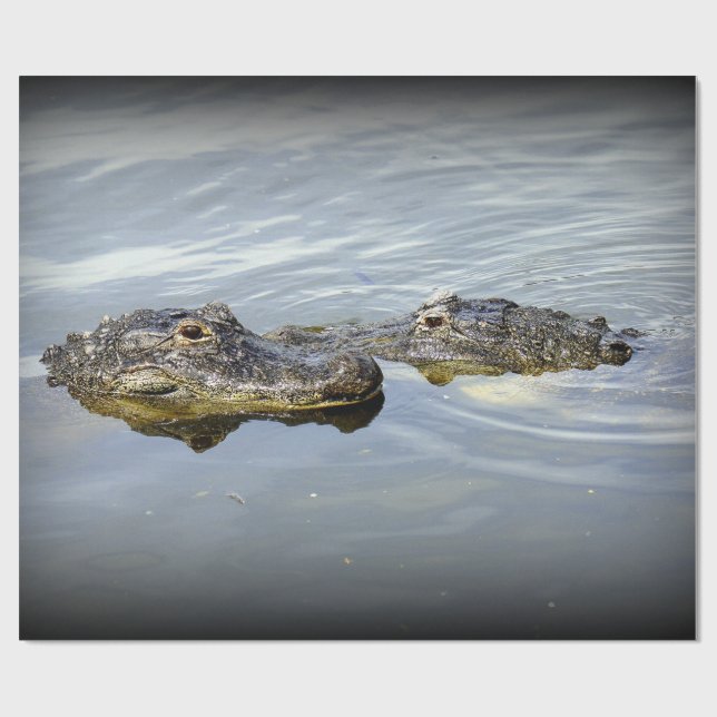 AlligatorLiebe Geschenkpapier (Flach)