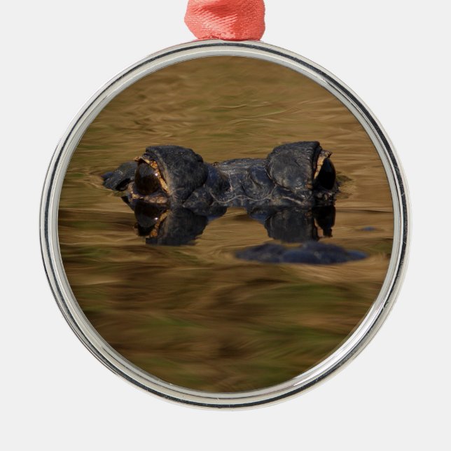 Alligatoroberflächenbearbeitung Silbernes Ornament (Vorne)